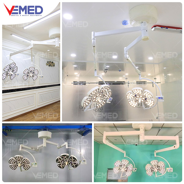 den-mo-petal-2-nhanh-6