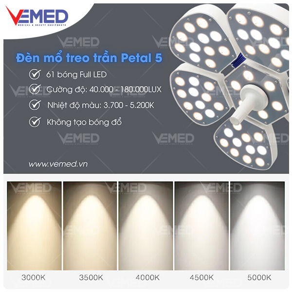 den-mo-petal-5-treo-tran-3