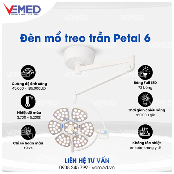 den-mo-treo-tran-petal-6-9