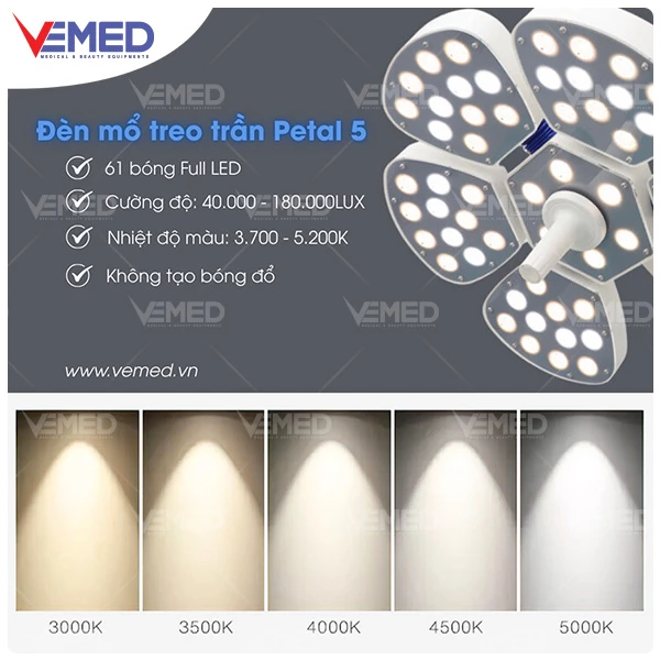den-mo-treo-tran-petal-5-3