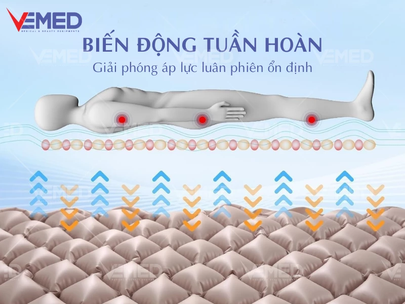 dem-khi-chong-loet-hi-mec-hmam-1010-vemed-2