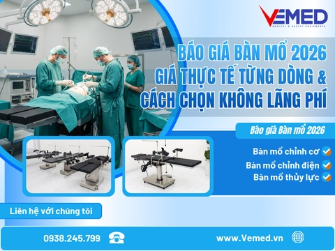 bao-gia-ban-mo-2026-gia-thuc-te-tung-dong-cach-chon-1
