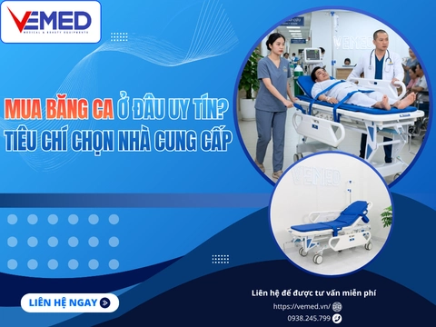 mua-bang-ca-o-dau-uy-tin-tieu-chi-chon-nha-cung-cap-9